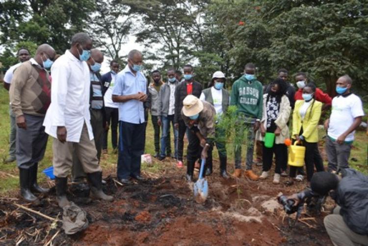 The college principal planting a tree