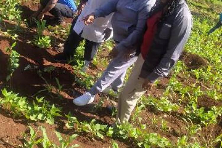 Staff members at the UoN's at Annual Tree Planting Exercise 2022. 