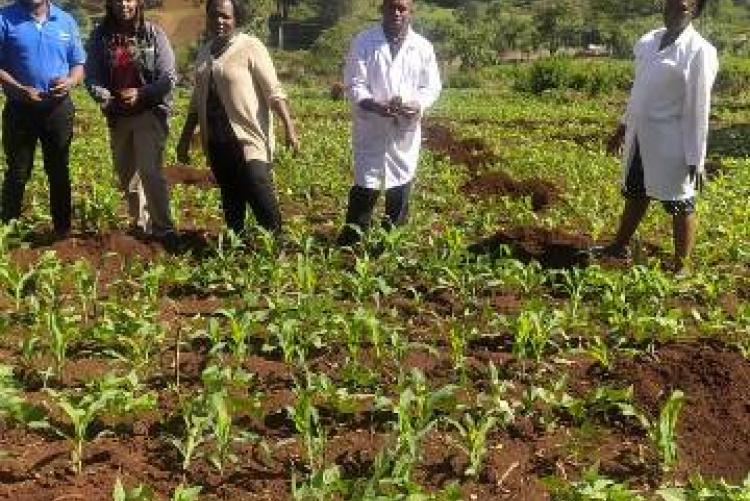 Staff members at the UoN's at Annual Tree Planting Exercise 2022. 