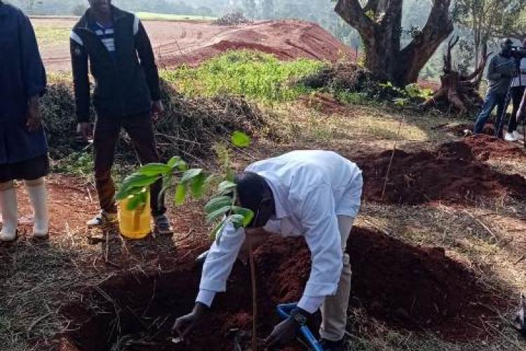 Dr. George Abong' leads the department in the tree planting exercise