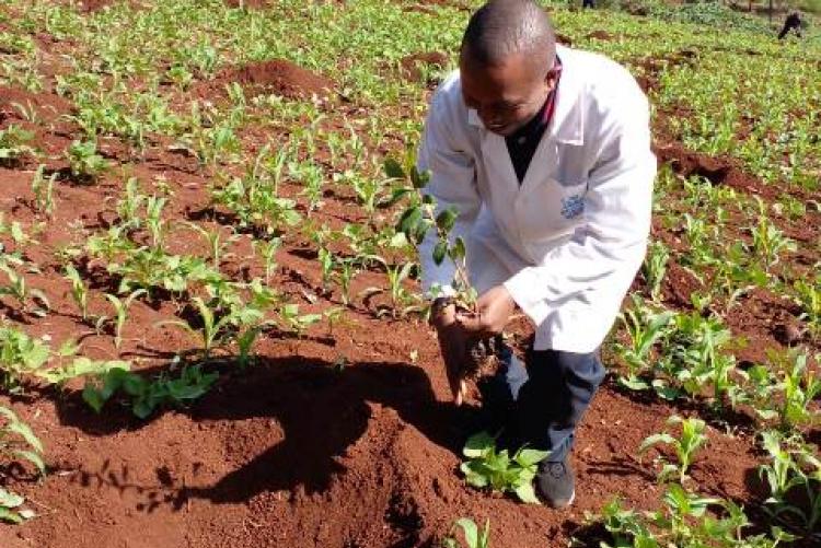 Staff members at the UoN's at Annual Tree Planting Exercise 2022. 