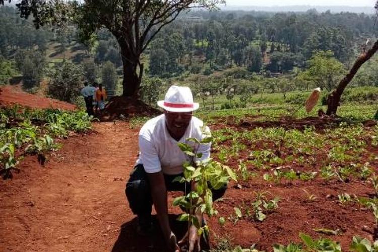 Mr. Ben Kiambi at the UoN'S annual tree planting exercise.