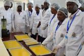 Training on Mango Leather- Masii Farmers