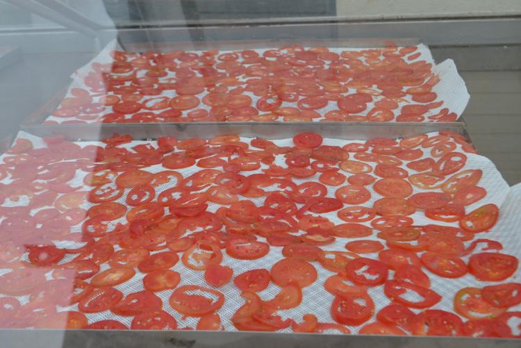Drying Tomatoes