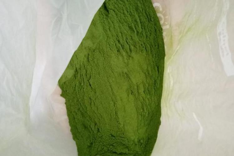 Processed Moringa powder