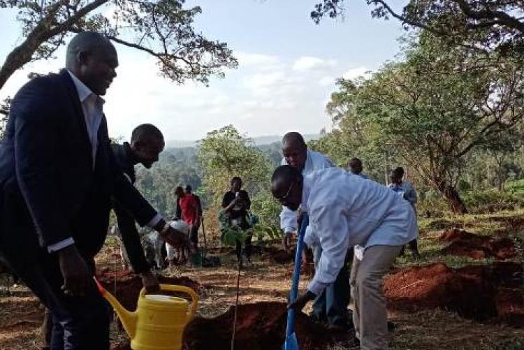 Staff members at the UoN's at Annual Tree Planting Exercise 2022. 
