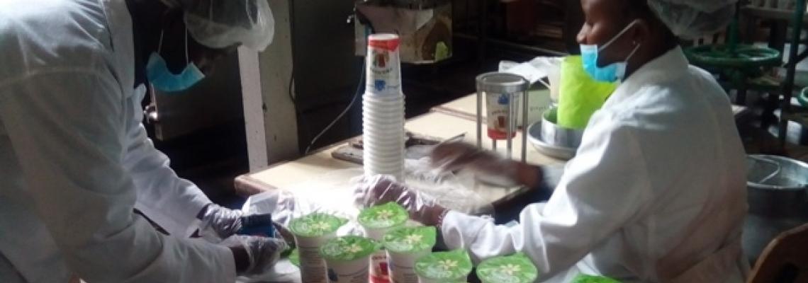 Government sponsored interns packaging yoghurt in the pilot plant