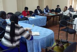 Academic staff on curriculum review